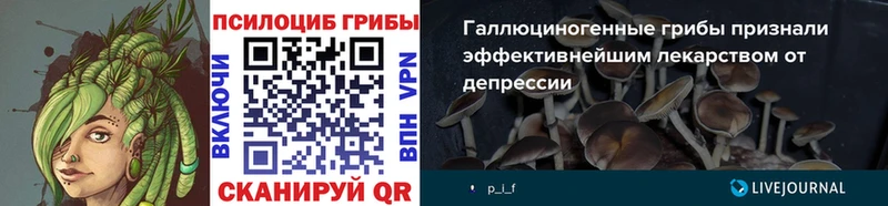 гидра ТОР  Горно-Алтайск  Галлюциногенные грибы Magic Shrooms 