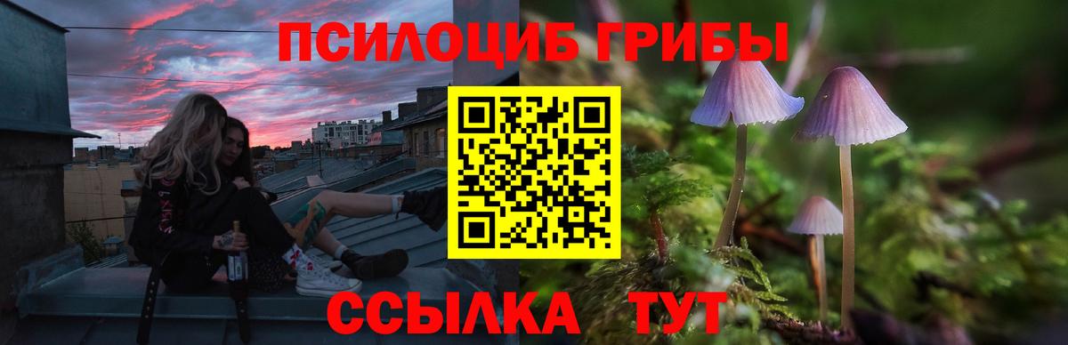 Горно-Алтайск  Галлюциногенные грибы Psilocybine cubensis  Псилоцибиновые грибы MAGIC MUSHROOMS  Вход с VPN 
