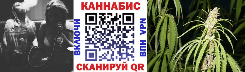 Бошки марихуана тримм даркнет сайт Горно-Алтайск